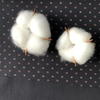China Jiangsu Textile Cotton fabric for mens shirts 100 cotton poplin printed shirts woven fabric soft comfortable
